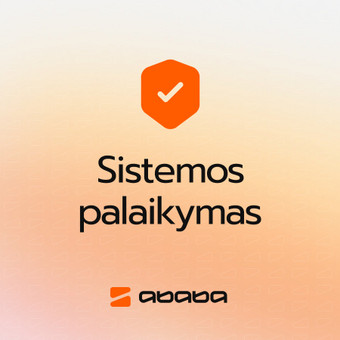Sistemos palaikymas Kaunas ababa nuotrauka 5