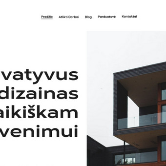 Svetainių dizainas (web design) Palanga Elevio nuotrauka 1