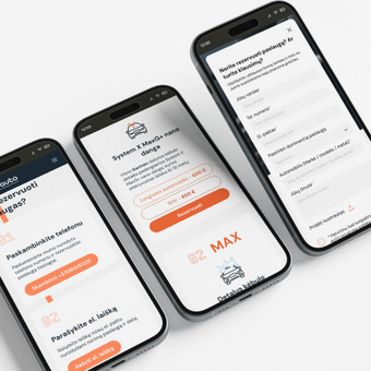 Svetainių dizainas (web design) Kaunas Justina Liutkauskienė nuotrauka 3