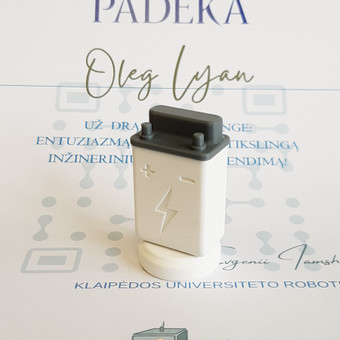 Spalvotas 3D spausdinimas Klaipėda Oleg Lyan nuotrauka 6