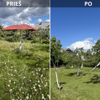 Žolės pjovimas Klaipėdos rajonas Aplinkos Priežiūra nuotrauka 3