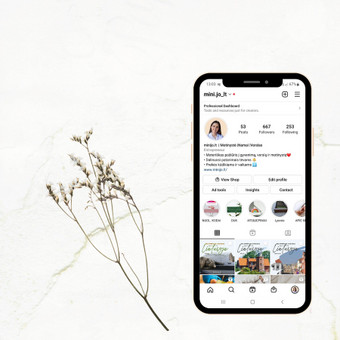Instagram profilio auditas Kaunas Vidmantė Ščerbinskienė nuotrauka 6