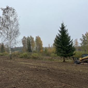 Kelmų naikinimas, frezavimas Vilnius tvarkingassklypas nuotrauka 1