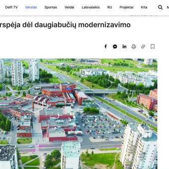 Tekstų interneto svetainėms kūrimas Vilnius Danutė Ramoškevičiūtė nuotrauka 3