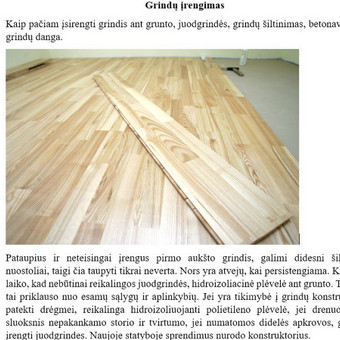 Straipsnių rašymas Vilnius Danutė Ramoškevičiūtė nuotrauka 1