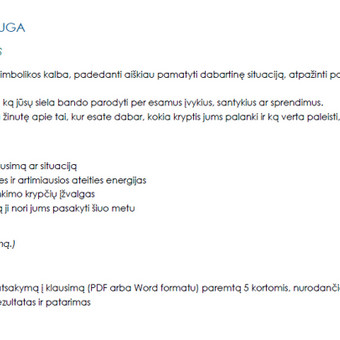 Būrimas kortomis Vilnius Gyvenimo kodas nuotrauka 1