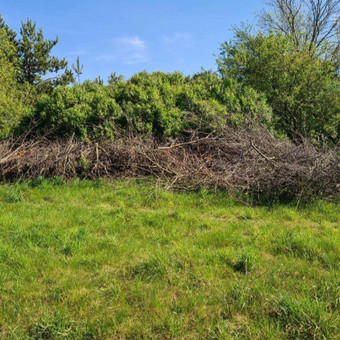 žaliųjų atliekų išvežimas Kaunas Benas Matonis nuotrauka 7