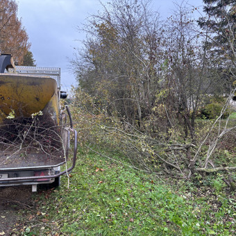 Šakų smulkinimas Panevėžys Egidijus Ablėnas nuotrauka 12
