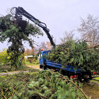 Apleistų sklypų tvarkymas Šiauliai Nuteka, MB nuotrauka 5