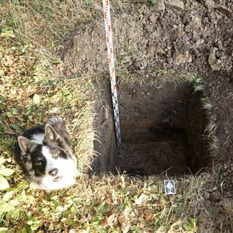 Žvalgomieji archeologiniai tyrimai Klaipėda MB Dangės archeologija nuotrauka 1