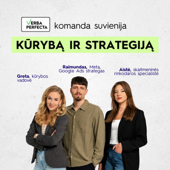 Socialinių tinklų komunikacijos strategijos kūrimas Vilnius Verba Perfecta nuotrauka 2