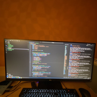 Mikrovaldiklių programavimas Kaunas Elgamyba nuotrauka 3