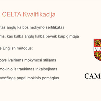 Individualios anglų kalbos pamokos suaugusiems nuotoliu Kaunas Vaida Barzdaitė nuotrauka 1
