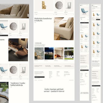 Svetainių dizainas (web design) Kaunas Evelina Remenčiūtė nuotrauka 3