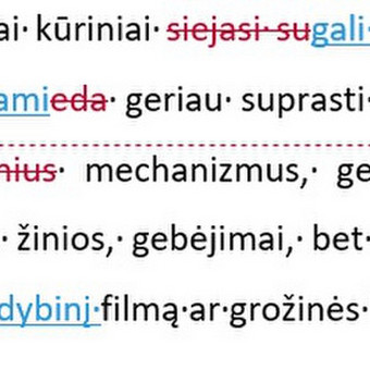 Publicistinių straipsnių redagavimas Kaunas Aistė Koženiauskienė nuotrauka 9