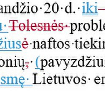 Baigiamųjų darbų redagavimas Kaunas Aistė Koženiauskienė nuotrauka 8