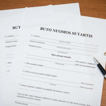 Buto nuomos sutartys Vilnius Tadas Puzinas nuotrauka 13