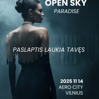 Banerių/vizualų/reklaminių plakatų kūrimas Kaunas Urtė R nuotrauka 3