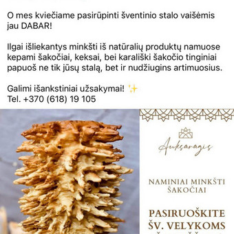 Produktų aprašymų rašymas Kaunas Kristina Tursė nuotrauka 4