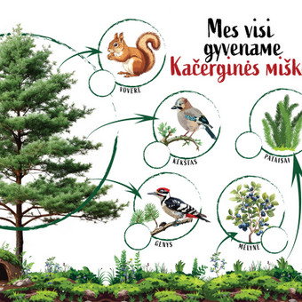 Plakatų maketavimas Kaunas Eglė Muralienė nuotrauka 6