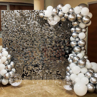 Foto sienelės nuoma Vilnius Žibanti Siena nuotrauka 2