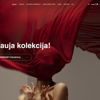 El. parduotuvių kūrimas Klaipėda E-shopkurimas.lt nuotrauka 1