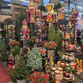 Kalėdinių dekoracijų nuoma Vilnius JUNGLE FLORA nuotrauka 5