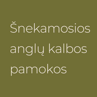 Šnekamosios anglų kalbos pamokos Vilnius Kamilė Balčiūnaitė nuotrauka 2