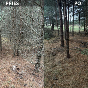 Apleistų sklypų tvarkymas Vilnius Darius Rupšlaukis nuotrauka 6