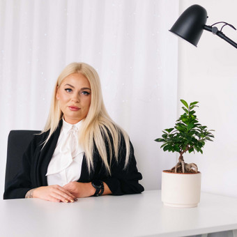 UAB steigimas Vilnius UAB Higso apskaita nuotrauka 4