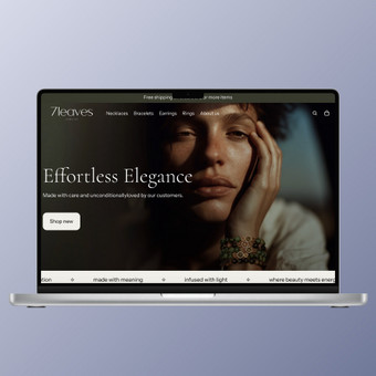 Svetainių dizainas (web design) Vilnius Shopify Programuotojas nuotrauka 1