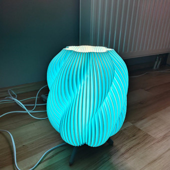 Spalvotas 3D spausdinimas Klaipėda MemelPrint nuotrauka 6