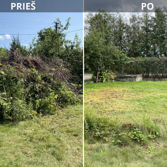 Šakų išvežimas Vilnius Albertas Rakuckis nuotrauka 3