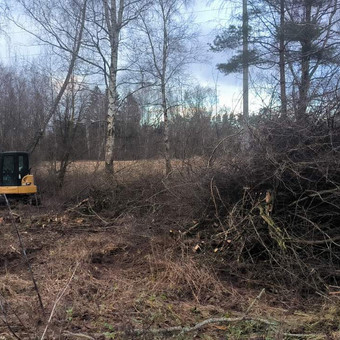 Apleistų sklypų tvarkymas Panevėžys UAB "Pakrilė" nuotrauka 1