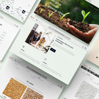Svetainių dizainas (web design) Kaunas MB Indre Design nuotrauka 2