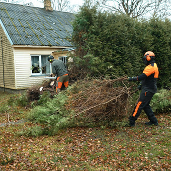 Apleistų sklypų tvarkymas Kaunas MEDIS SENOLIS nuotrauka 3