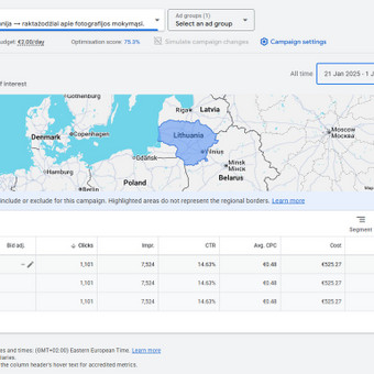 Google Ads reklama Kaunas Rytis Zdanavičius nuotrauka 4