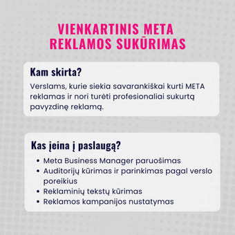 Vienkartinis META reklamos sukūrimas Klaipėda Akvilė Sakalauskytė nuotrauka 1