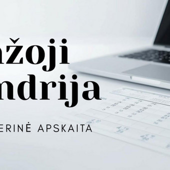 Įmonių buhalterinės apskaitos tvarkymas Kaunas Justina nuotrauka 1
