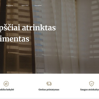 Svetainių talpinimas (Hosting) Kaunas Sbyte nuotrauka 2