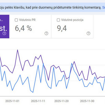 SEO optimizacija Vilnius Kristina K. nuotrauka 4