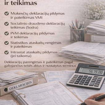 Deklaracijų pildymas, teikimas Klaipėda Anastasija nuotrauka 9