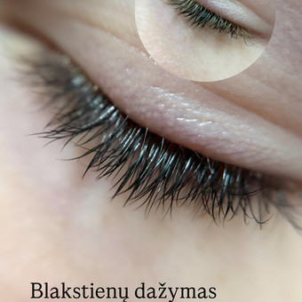 Blakstienų dažymas Panevėžys Aistė Isiūnienė nuotrauka 3