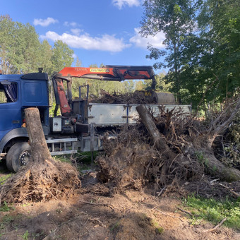 Šakų,kelmu,medienos išvežimas Šiauliai Erstera nuotrauka 9