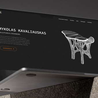 Svetainių dizainas (web design) Vilnius Laura Jankauskaitė nuotrauka 1