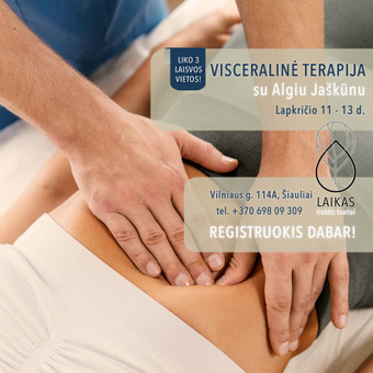 Socialinių tinklų ir reklamos vizualai (maketai) Šiauliai Inga ShortcutAD nuotrauka 4