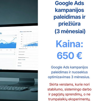 Google Ads kampanijos paleidimas ir priežiūra (3 mėnesiai) Vilnius egle kvedaraviciute nuotrauka 10