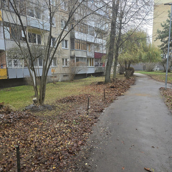 Šakų išvežimas Kazlų Rūda Sodo Genys nuotrauka 4