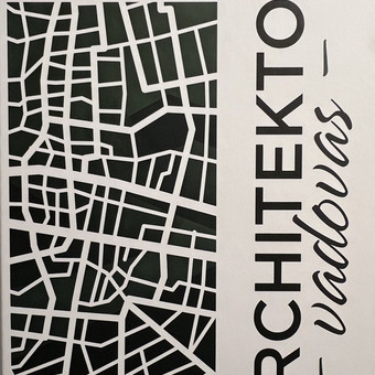 Statinių interjerų projektavimas Vilnius Structural Engineering Forces Ltd nuotrauka 13