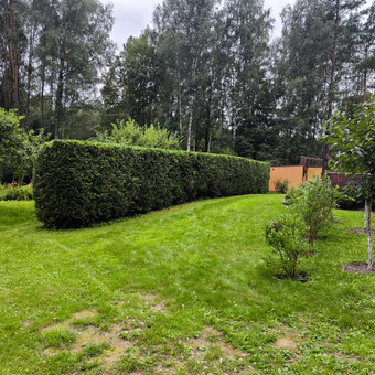 Gyvatvorių karpymas/formavimas Vilnius MB "Miškų Vilkai" nuotrauka 9